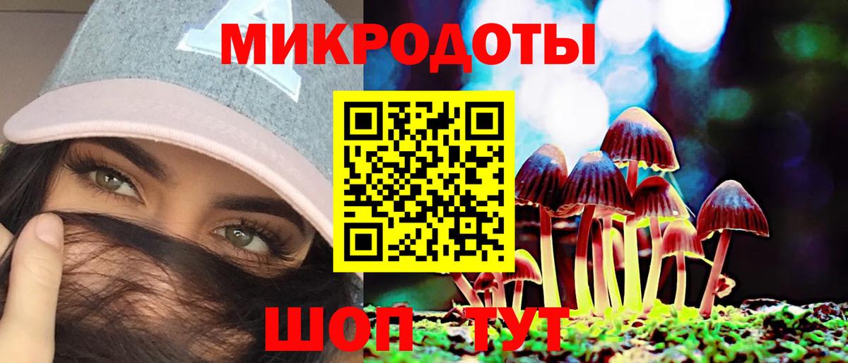 Калининград  Псилоцибиновые грибы Psilocybe  Вход с VPN  Псилоцибиновые грибы Magic Shrooms 