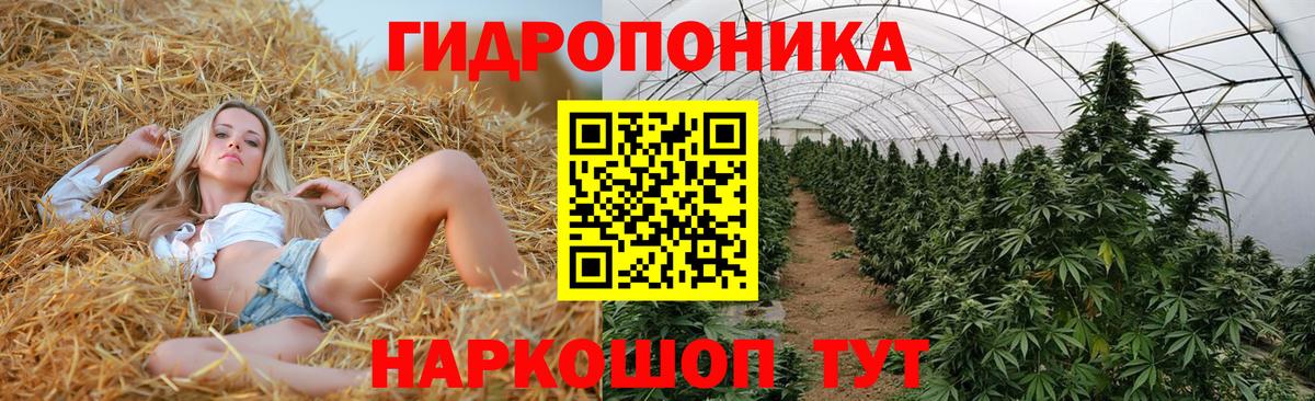 Калининград  Бошки марихуана ГИДРОПОН  Вход с VPN  Канабис семена  Бошки Шишки Bruce Banner  Каннабис конопля 